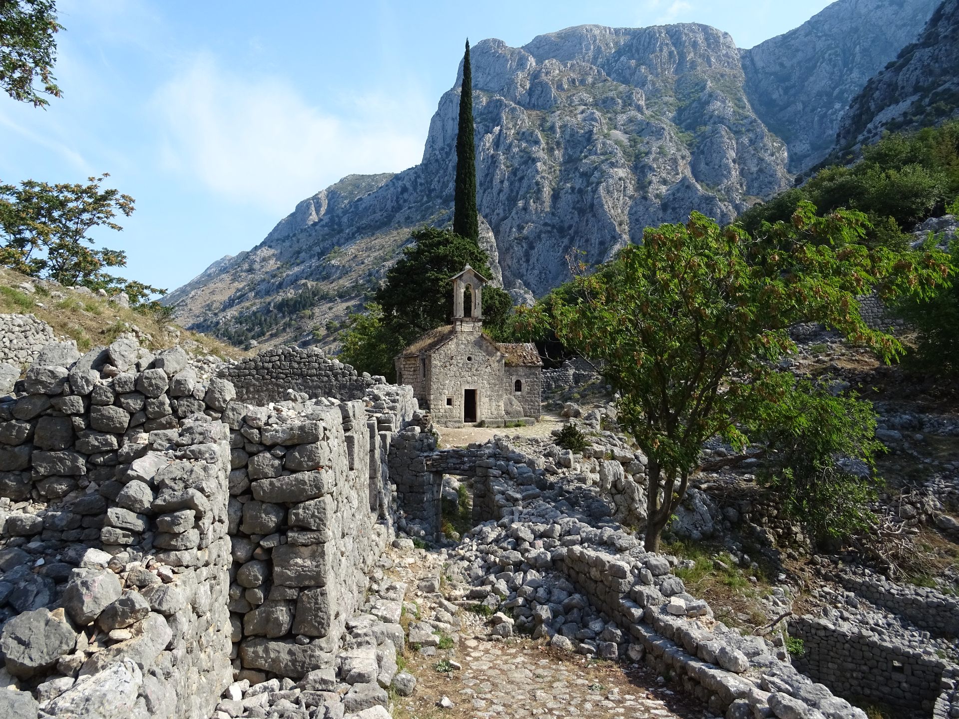 Kotor
